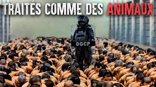Survivre À Cecot La Prison La Plus Dangereuse Du Salvador