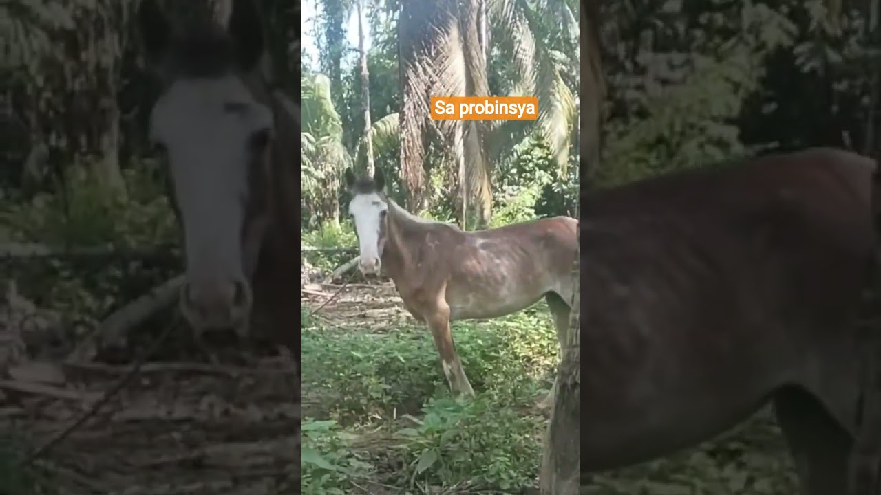 TUMITINGIN LANG SILA SKIN