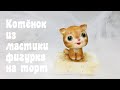 Котёнок_kitty_gatinho