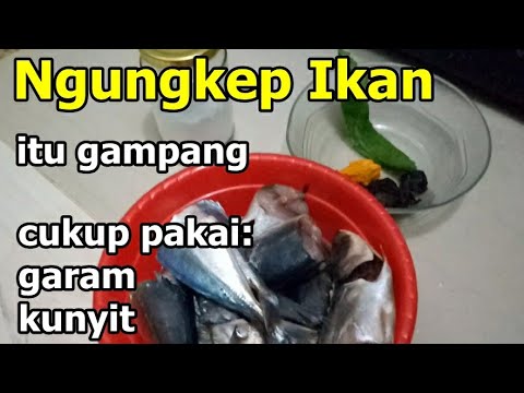 Video: Bumbu Apa Yang Bisa Ditambahkan Ke Ikan?