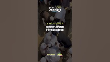 সূরা আত তাকাসুর Mobile  سورة التكاثر   Surah At Takaathur   Qari Shakir Qasmi   mahfuz art