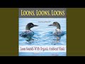 Golden Pond Piano (With Loon Sounds)