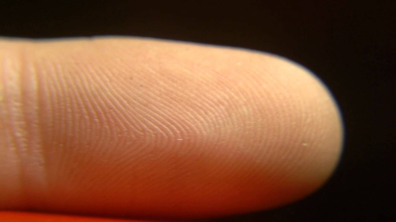 Finger closeup Finger closeup