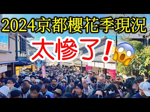 【日本旅遊】旅遊體驗太悲慘了！2024年京都櫻花季现况🌸京都賞櫻名所・日本櫻花季・京都自由行攻略・京都旅遊・京都美食・日本自由行・清水寺・花見小路・八阪神社・祇園白川・京都站・Japan Kyoto