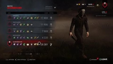 Invisible pallets dbd patch 2.4.0