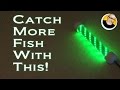 Catch More Fish With This!