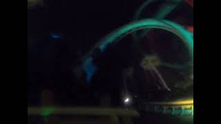 Kumba Back Row POV - Night