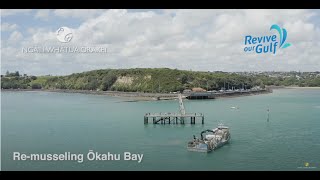 The Ōkahu Bay Project