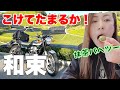 【カワサキW800】バイク女子が京都和束茶原郷へ山道ソロツー【モトブログ】
