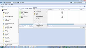 Enterprise PDM Report Generator - Author: Walt Bednarz