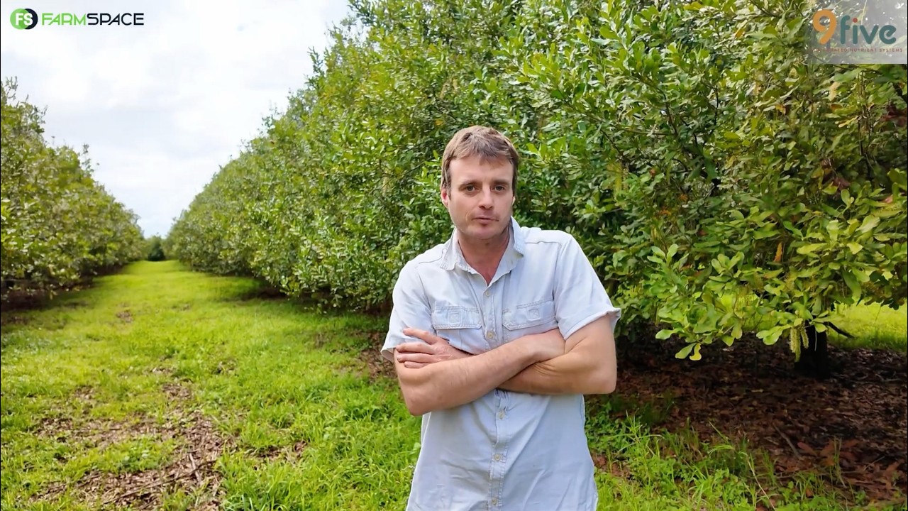 Can healthier soil make a big difference to your macadamia crop?