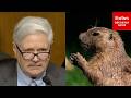 'The Buffer Is Just Not Working': John Hoeven Sounds Alarm On Grassland Prairie Dog Overpopulation