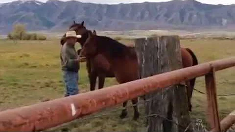 Lynn and horse