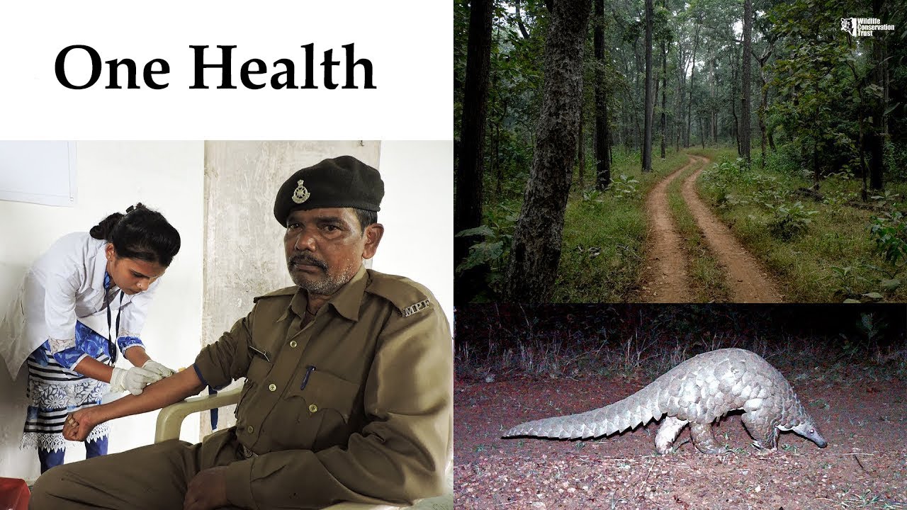 One Health