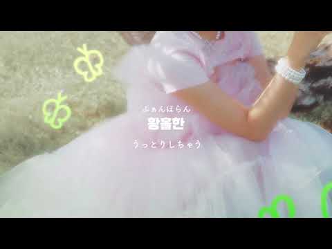 日本語字幕 和訳 カナルビ 『Sun flower』CHOI YOOJUNG (WEKI MEKI)