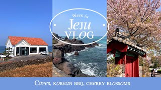 A WEEK in JEJU ISLAND Vlog - Cafes, Korean BBQ & Cherry Blossoms