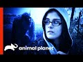 This Woman Came Face-To-Face With Bigfoot | Finding Bigfoot