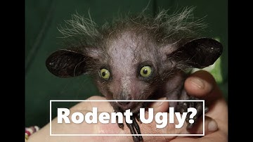 Arduino How ugly are You Mark Rober Creative Engineering Class