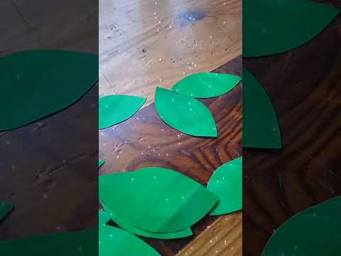 Видела много видео с лианами, решила сделать своë. #лиана #комната #растения
