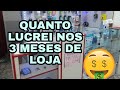 Quanto lucrei em 3 meses de loja