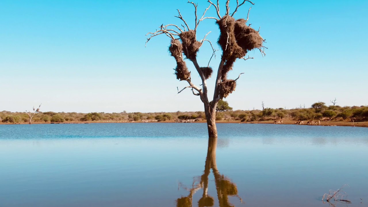 Kruger National Park - Breathtaking Wildlife Experience