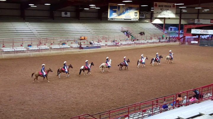 Independence Belles Patriot Drill