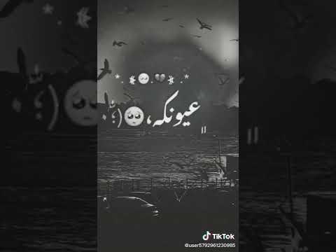 قلبي طير ومدبوح