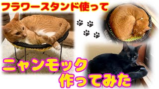 Nd177 フラワースタンド 使ってニャンモック作ってみた Nekodasuke Youtube Nd177 フラワースタンド 使ってニャンモック作ってみた Nekodasuke Youtube