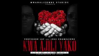 Professor Jay ft Chameleone - Kwa Ajili Yako (Official Audio)