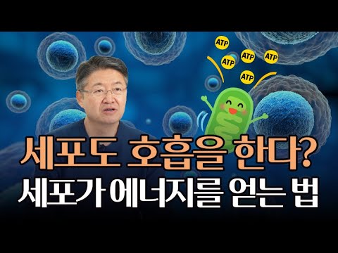   세포가 직접 에너지를 얻어낸다 세포호흡