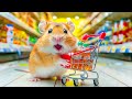 Hamster Escapes The Supermarket Maze Of Surprises Hamster Maze