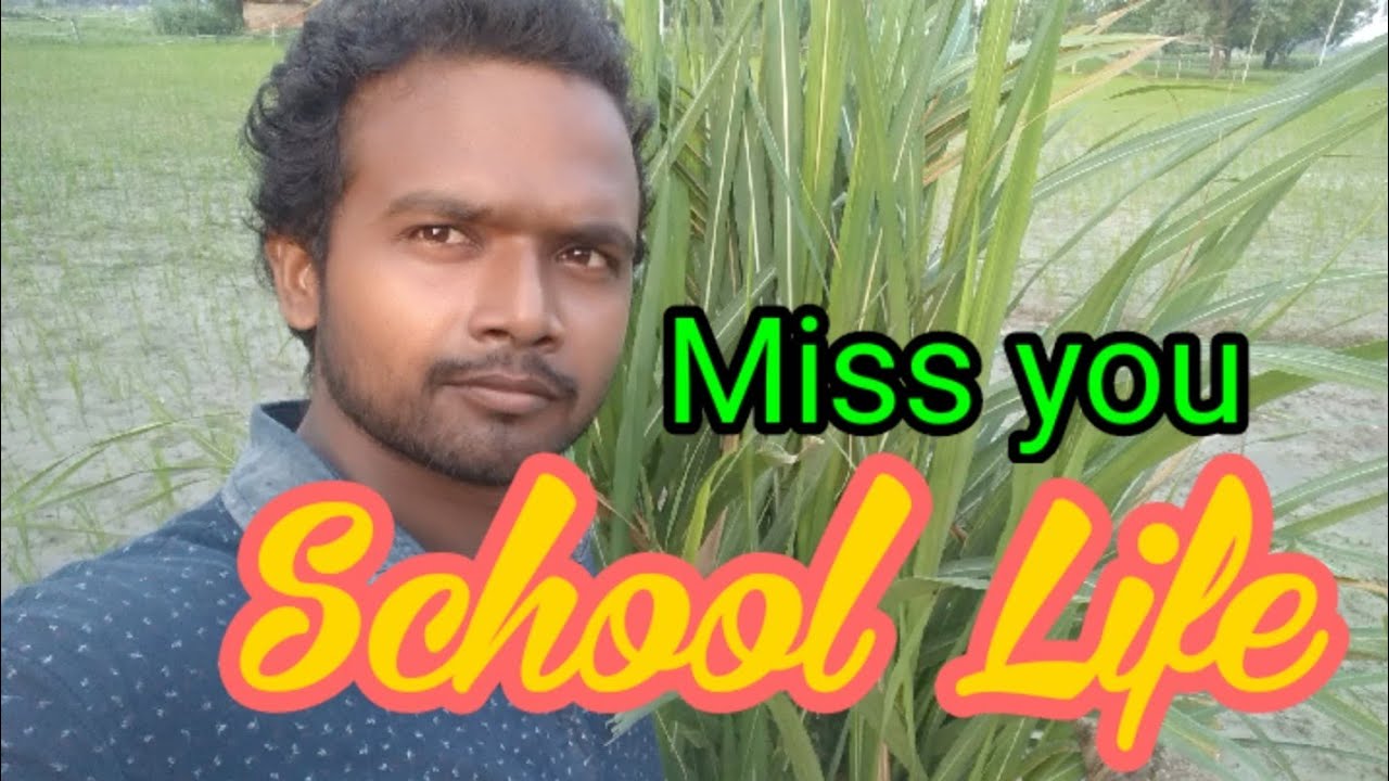 Miss You School Life Meaning In Marathi