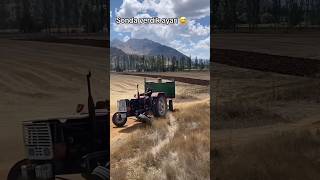 Tekerlek Gruptan Ayrıldı