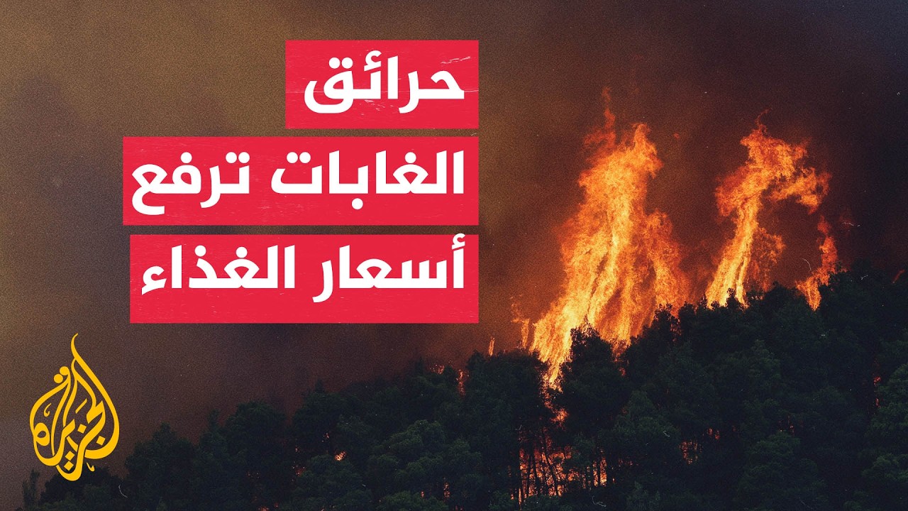 ����� ������� ���� ����� ������� �������
 - نشر قبل 5 دقيقة