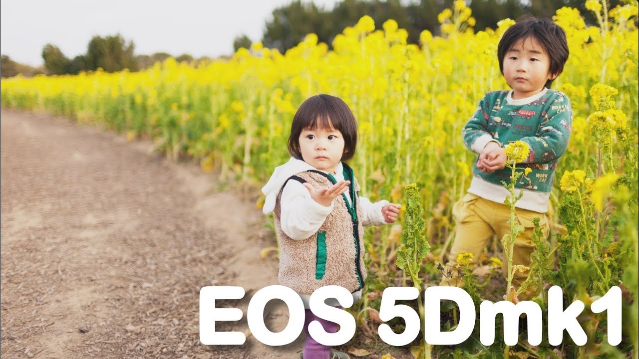 初代[EOS 5D]いいね！5Dmk1でいろいろ撮影してきた。I love my EOS5D classic! and ef35f1.4L!