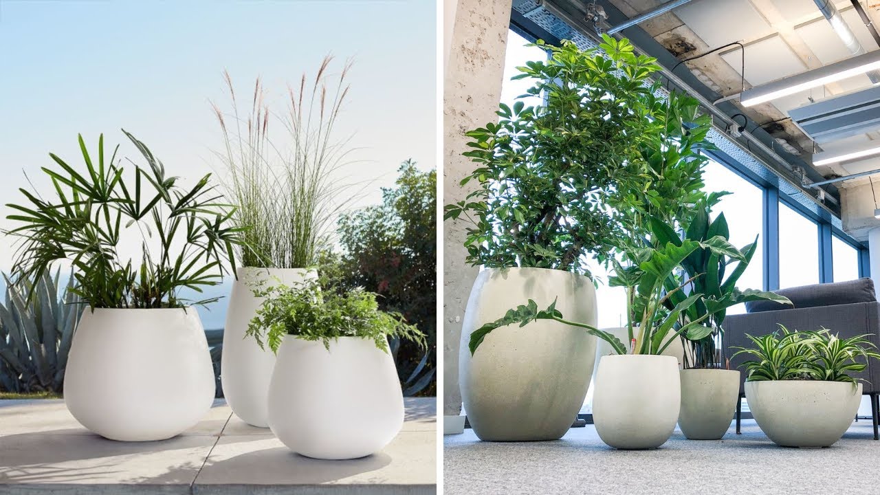 Top Modern Indoor Plants Decoration Ideas Indoor Garden Hanging