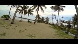 Mini On an Island