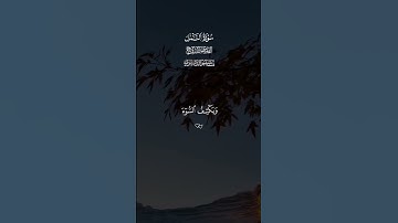لا تقاطع القرآن 🔉 🎧 🤍 #قران #ياسر_الدوسري #تلاوة_خاشعة