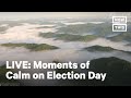 Moments of Calm On Election Day | LIVE | NowThis