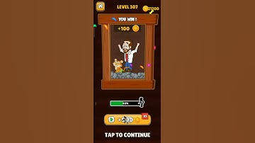 Home Pin - How To Loot? - Pull Pin Puzzle Level 307 Walkthrough