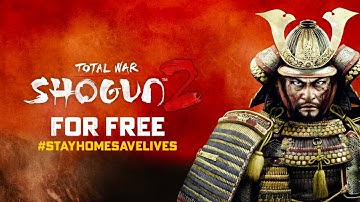 Total War: Shogun 2 - My first multiplayer game