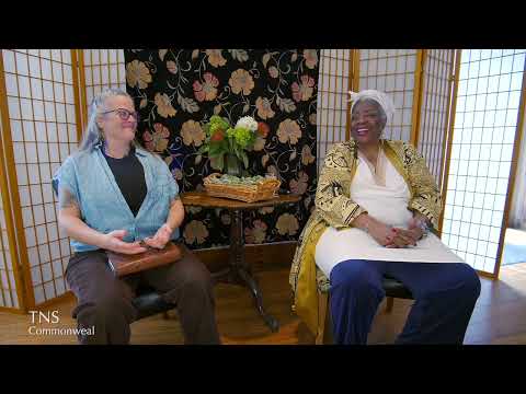 A Guided Visualization - The Plants Know, but Do We?