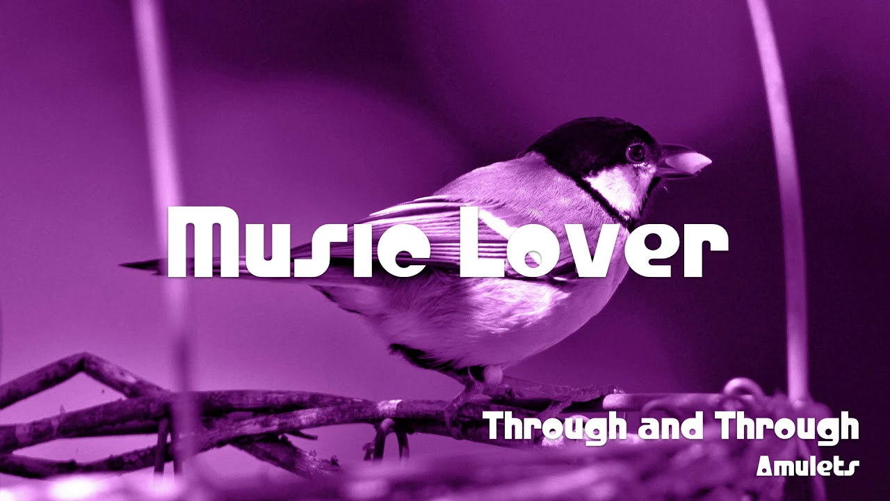 🎵 Through and Through - Amulets 🎧 No Copyright Music 🎶 YouTube