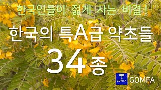 [81]한국인들이 젊게 사는 비결! 한국의 특A급 약초들 34종, Koreans’ secret to staying young: 34 medicinal herbs