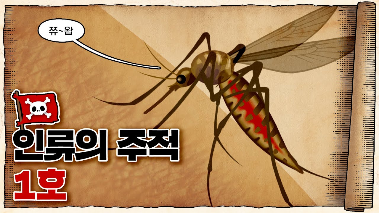 💀 전세계 인구 40명 중 1명이 걸려 있는 병 ㄷㄷ / 💀 말라리아는 어떤 병일까?