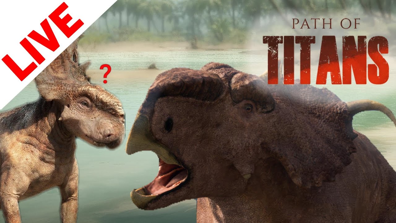My Husband Is A Very Goofy Pachyrhinosaurus | Path of Titans