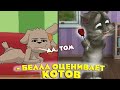 Белла оценивает кошек: