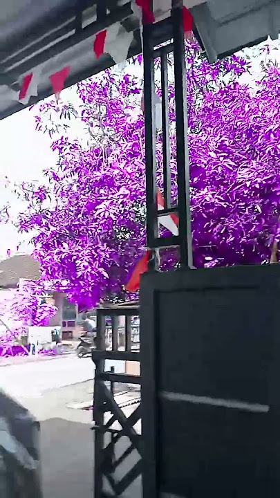 Semua jadi warna ungu #masukberanda #shortvideo #ytshorts