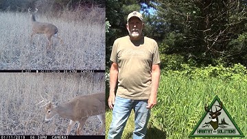 HS360 Mowed deer steering movement trails