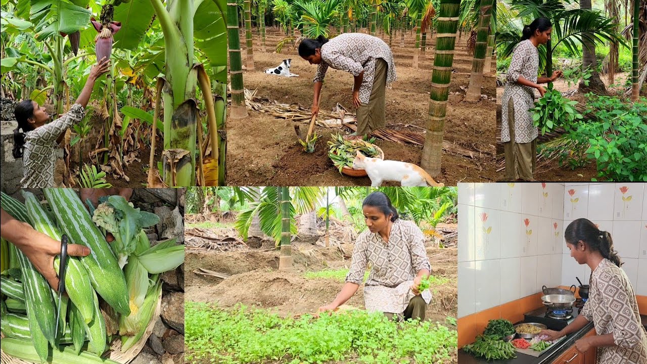 இன்னைக்கு சிம்பிளான சமையல்தாங்க.. 